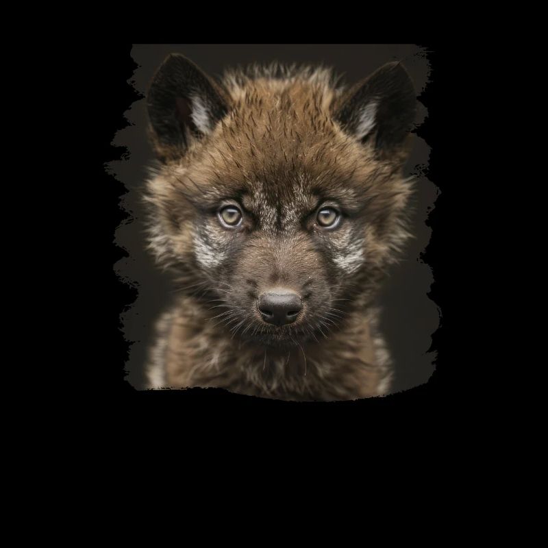 Wölfe Wolf