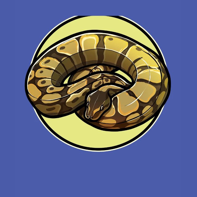 Ball Python Roi Python Roi Python