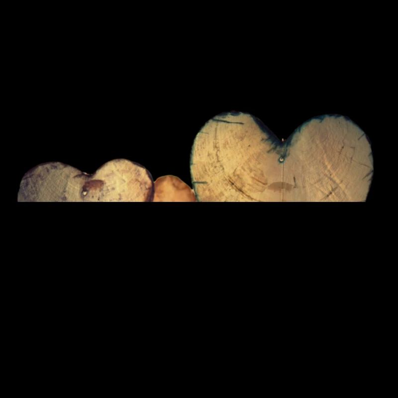 Herz aus Holz