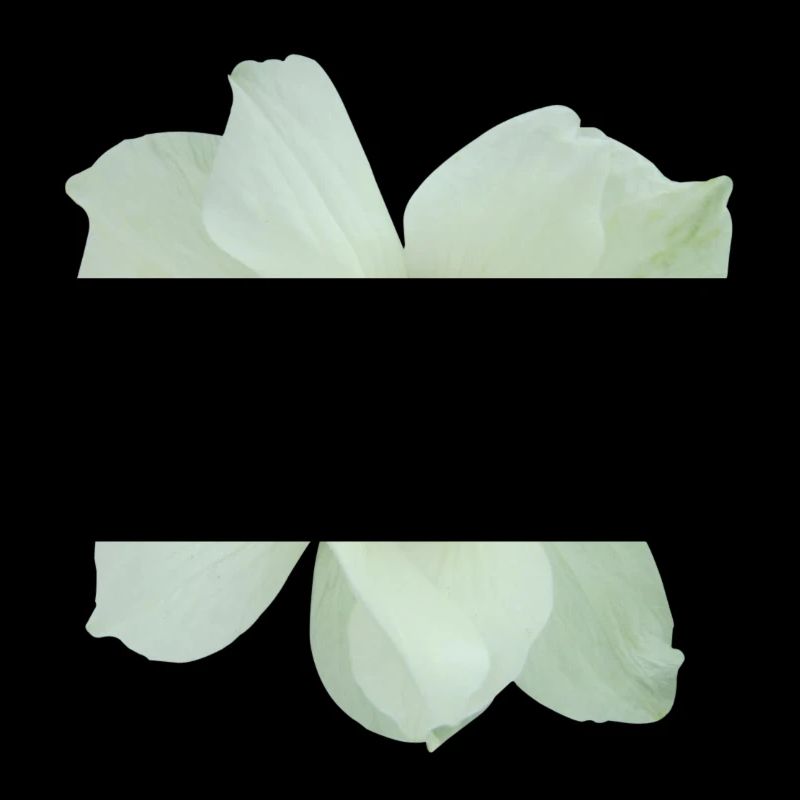 Flower UK eu
