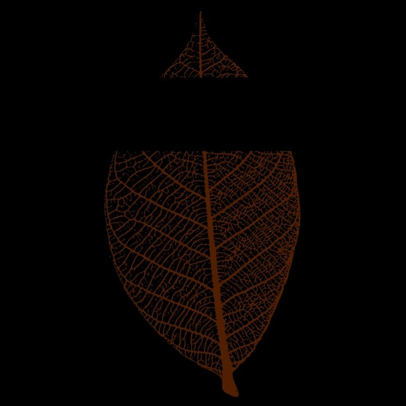 leaf tree forest skeleton pattern nerve love heart