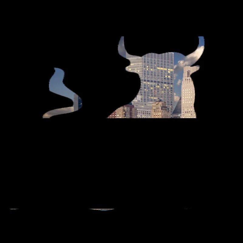 Wall-Street Bulle
