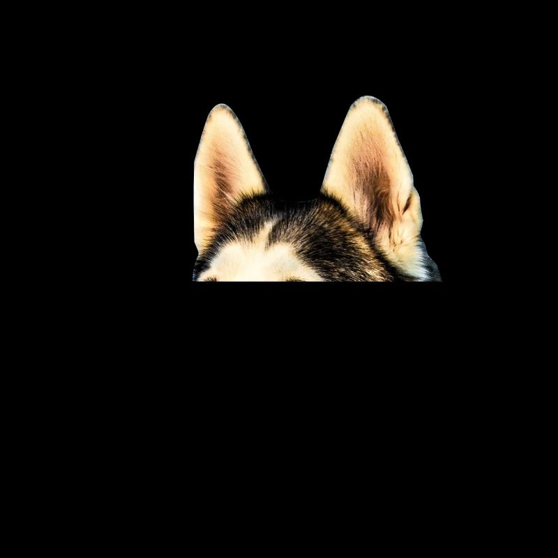 Husky