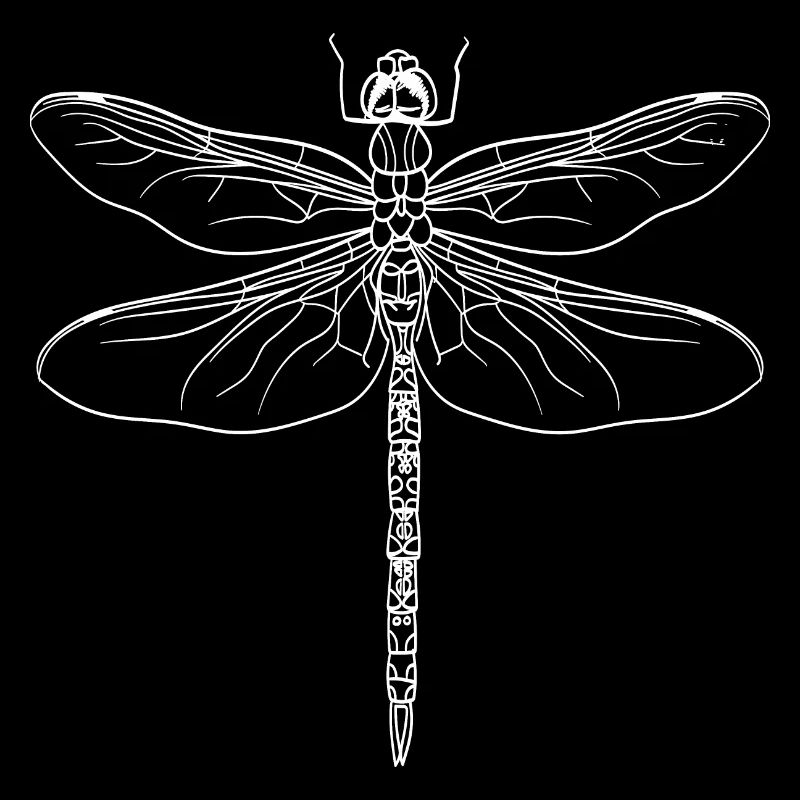 Libellule silhouette blanc