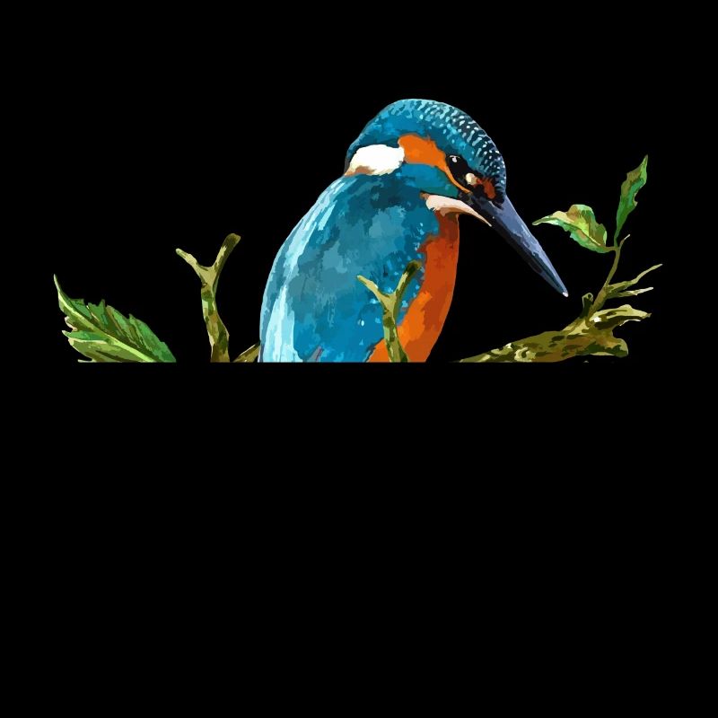 Eisvogel Vogel