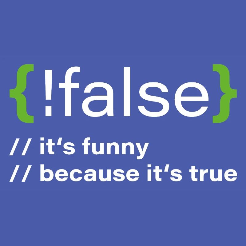 false – Funny programmer saying