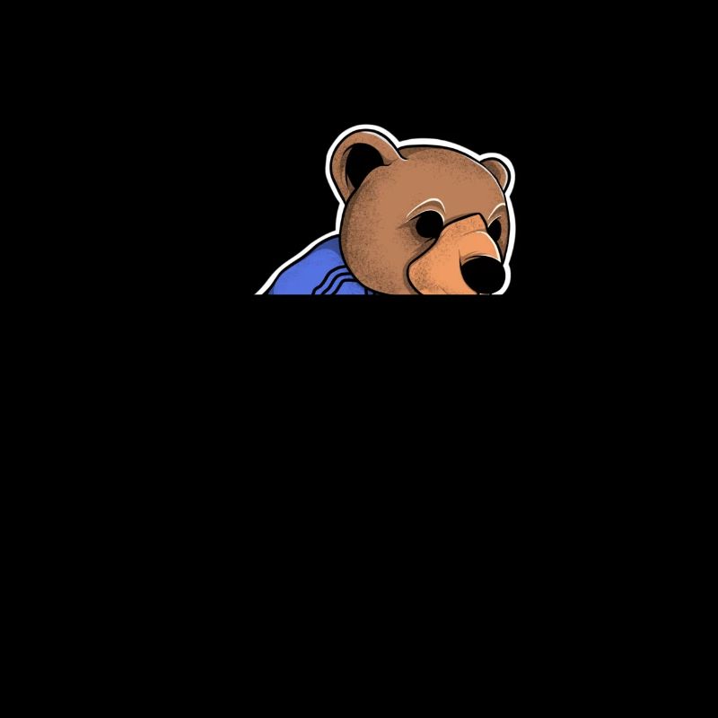 Gopnik Bear Slav Squatt Squatting Gop gift idea