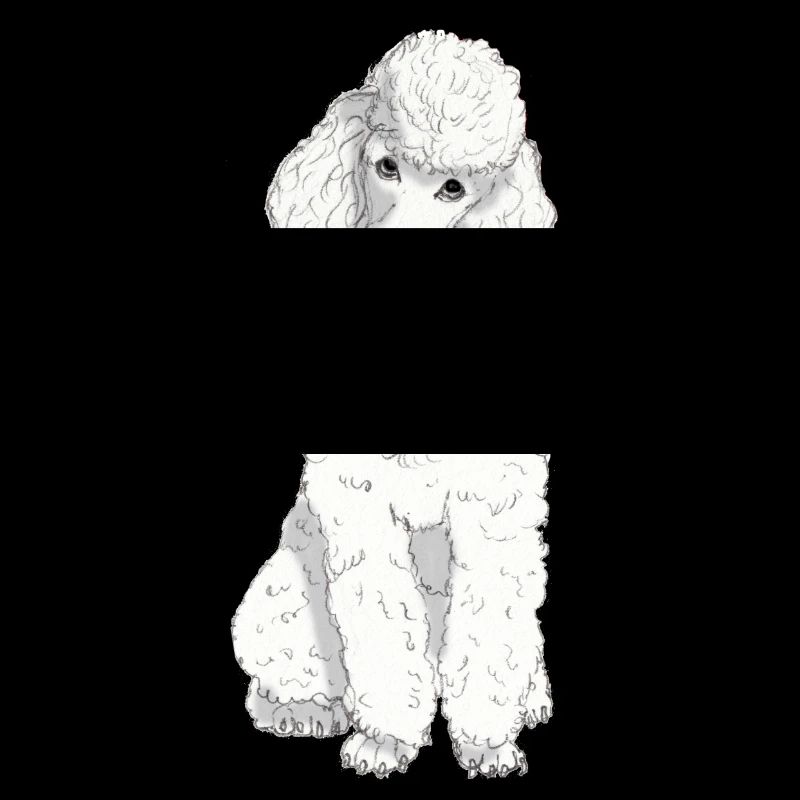 Caniche jouet blanc