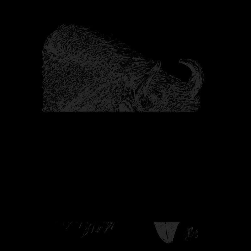 Bison