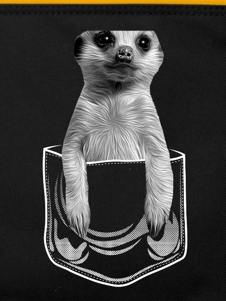 Bébé suricate en poche