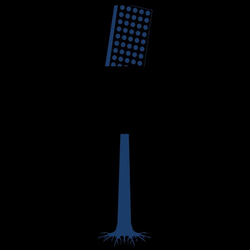 park Stadium