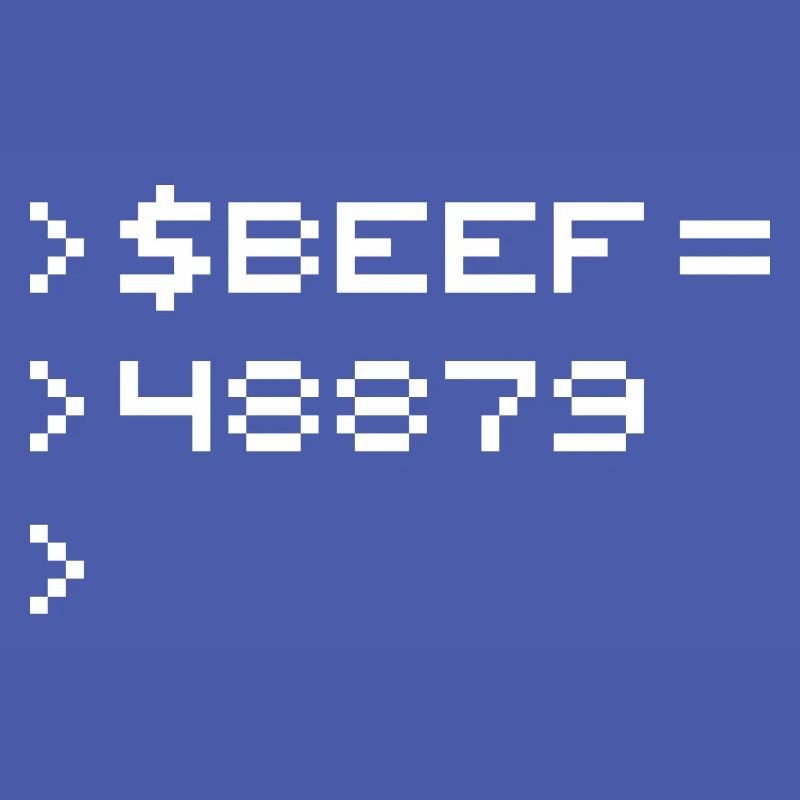 BEEF 8-bit Code Nerd Pixel Terminal Rétro