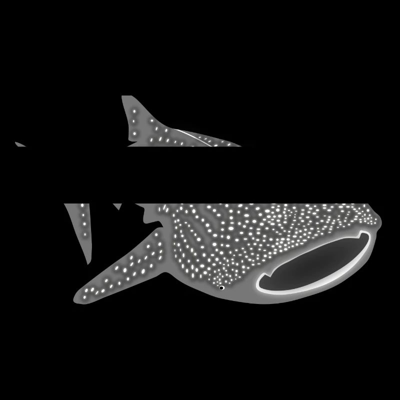 Requin-baleine baleine poisson requin plongée