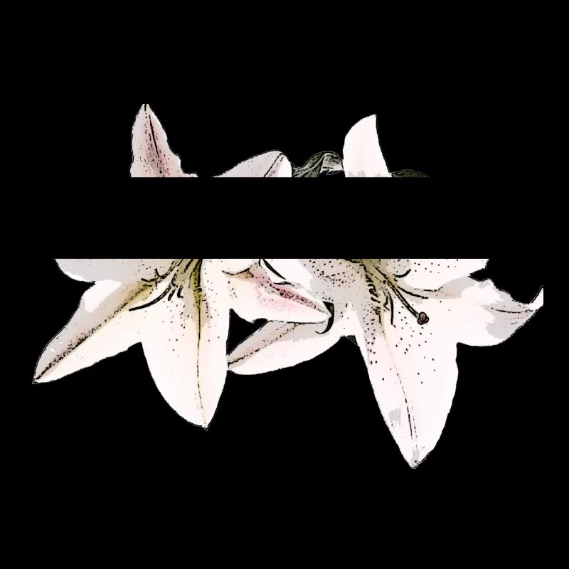 Lily / Lilium / Lily