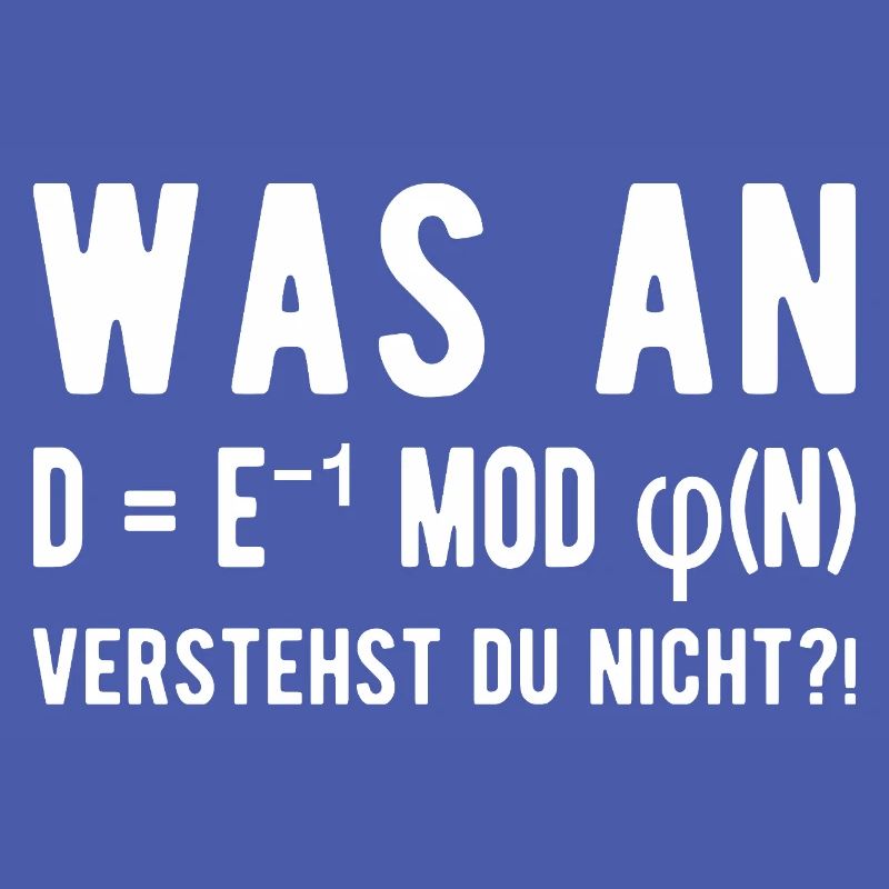 Computer Scientist Computer Science Student Programmer