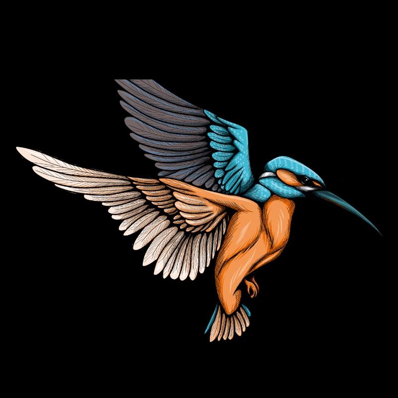 Eisvogel