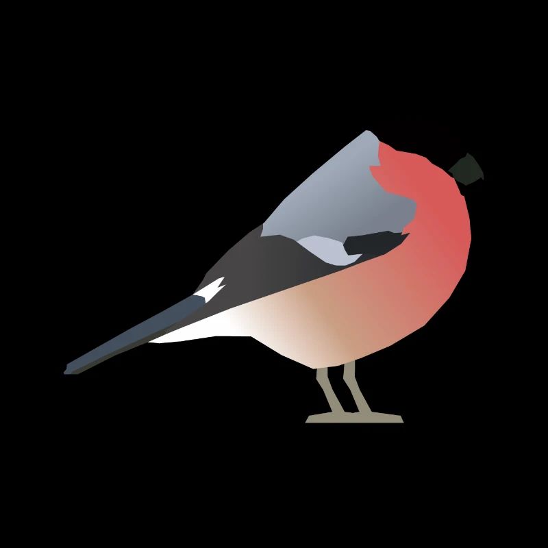 Dompfaff (Pyrrhula pyrrhula)