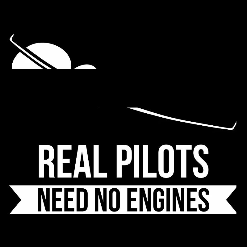 Real Pilots Need No Engines Gliding Flies