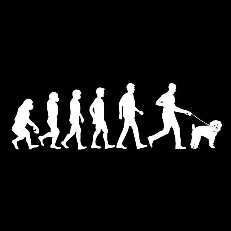 Schnoodle chien évolution propriétaire de chien
