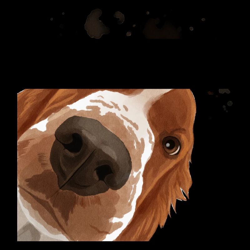 Curious Welsh Springer Spaniel Dog