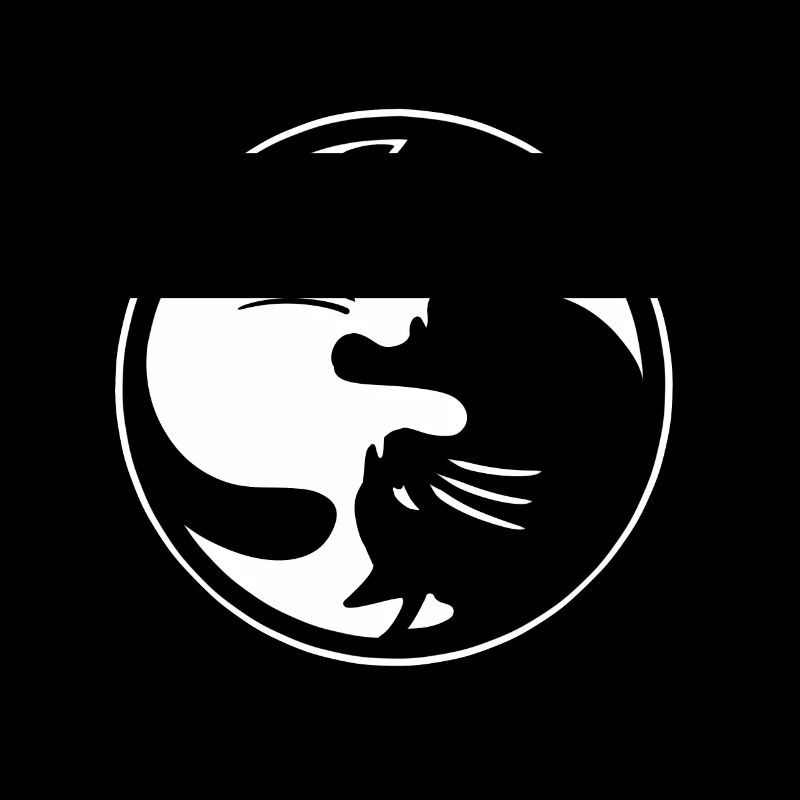 Ying Yang cat