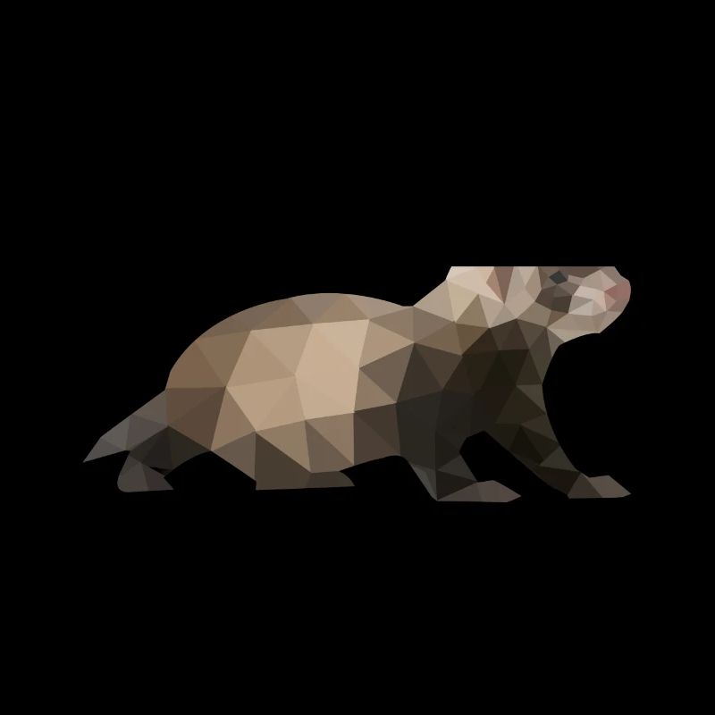 Frettchen Polygon Iltis