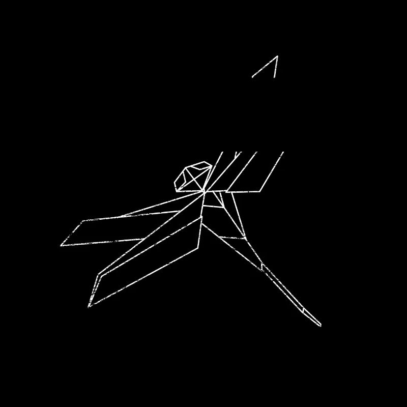 Insecte diagonale de libellule