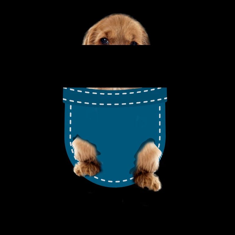 Cocker Spaniel
