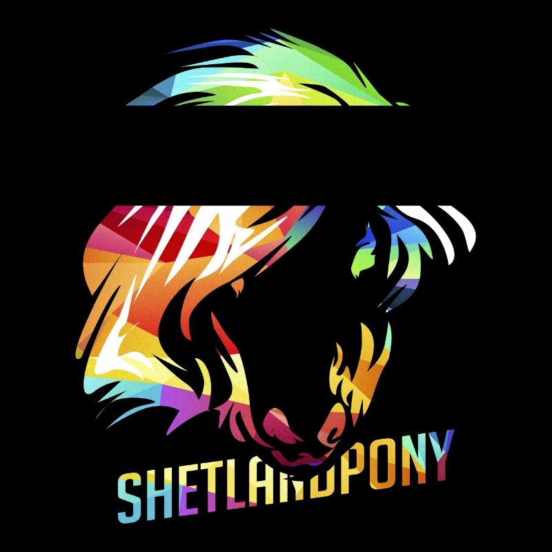 Shetland pony