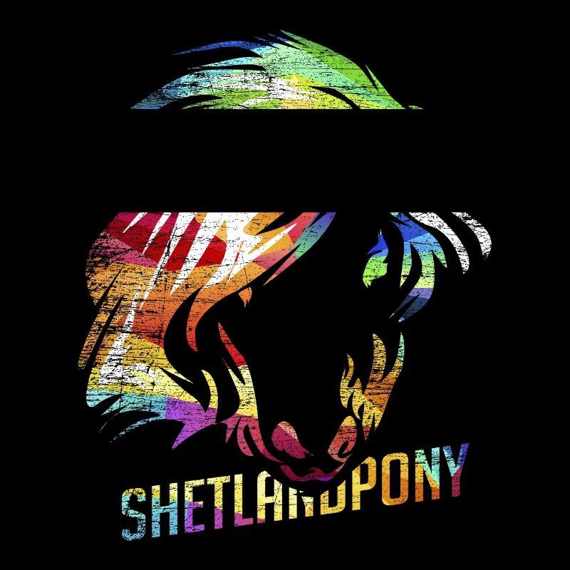 Shetland pony