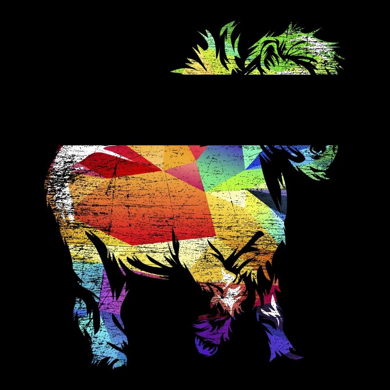 Shetland pony gift