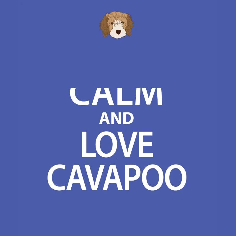 Cavapoo Hund