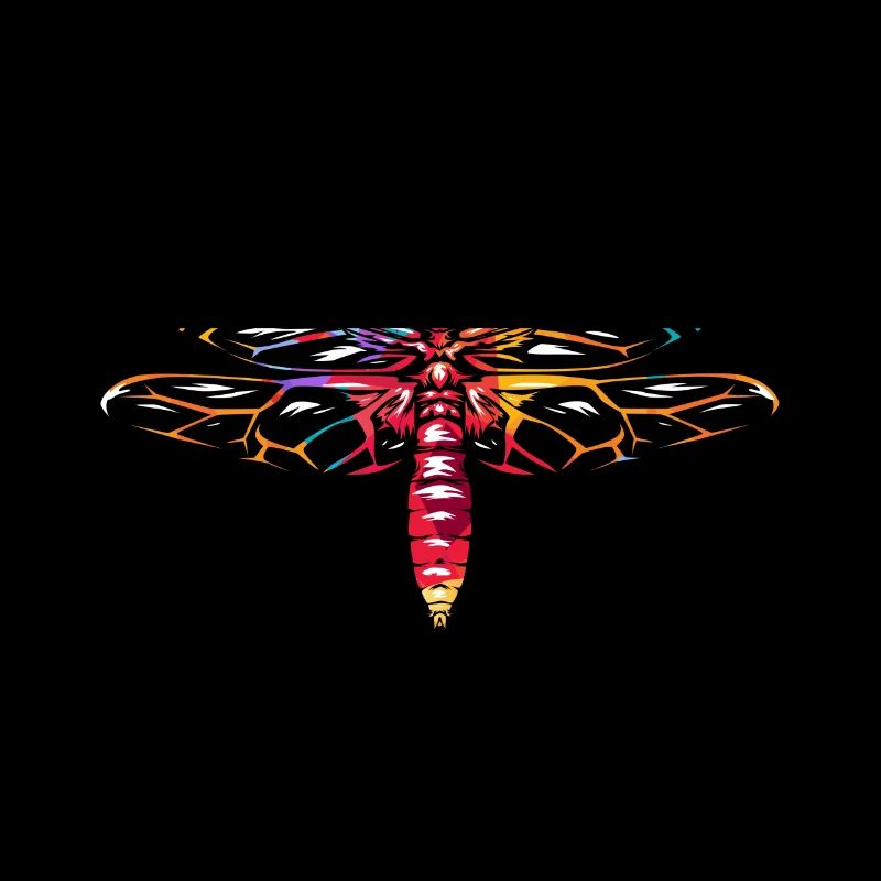 Libellules Odonata libellule