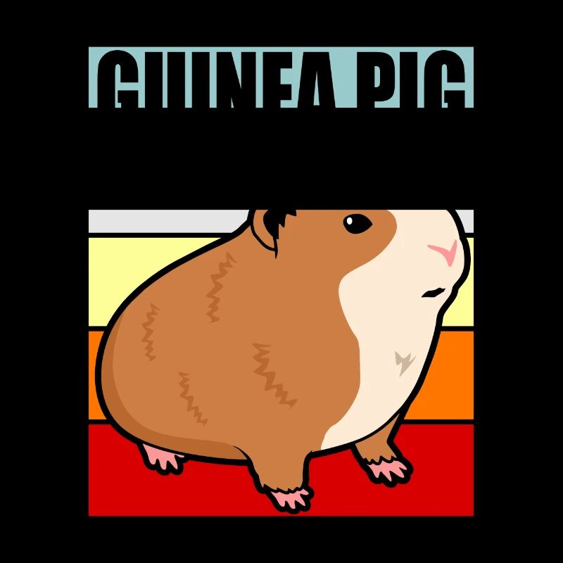 Cochon d'Inde