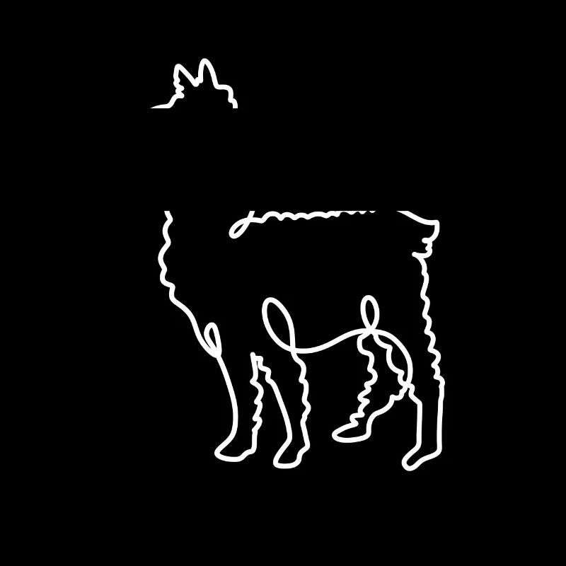 alpaca