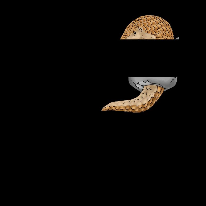 Pangolin gift pangolin tshirt pangolin