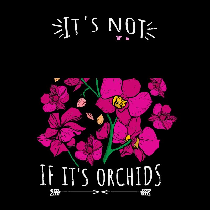 Orchidée Idée cadeau Femmes Fleuriste Orchidée