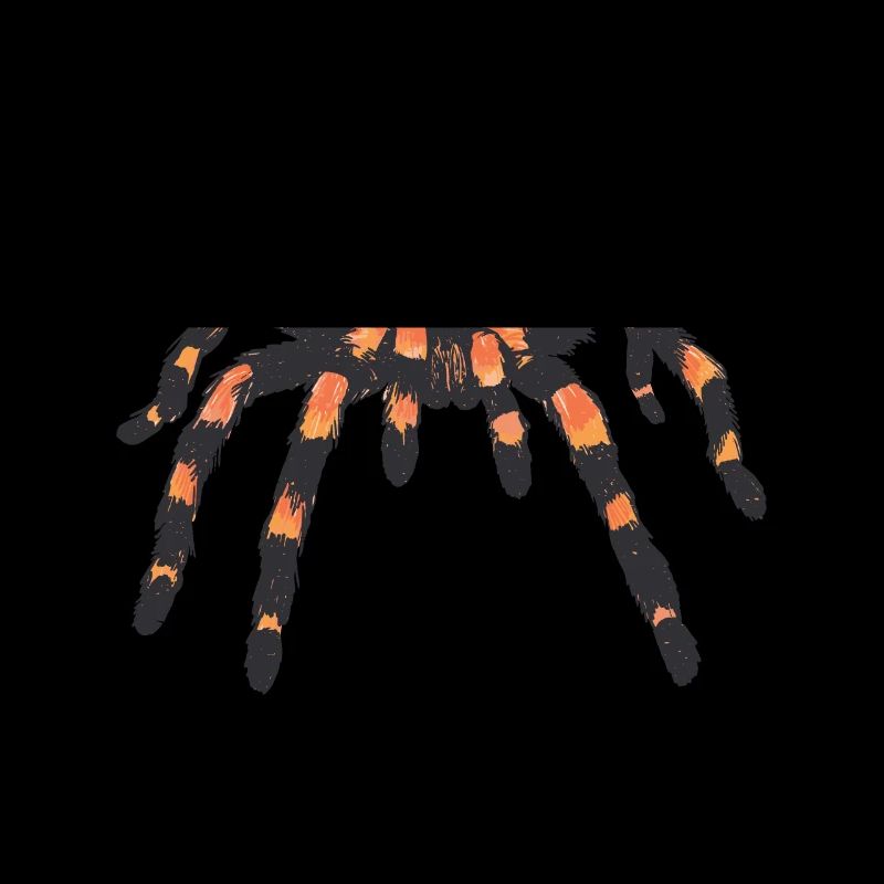 Tarantula spider spiders