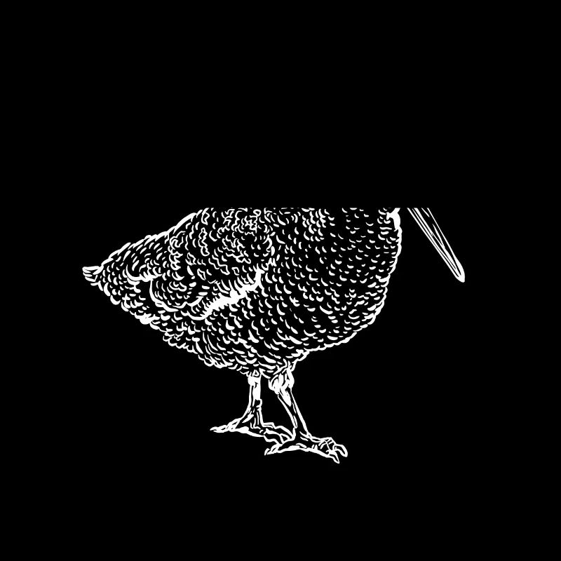 Oiseau oiseau oiseau mouches