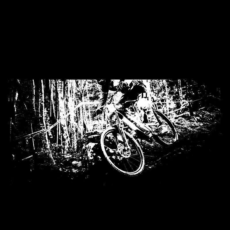vtt mtb downhill