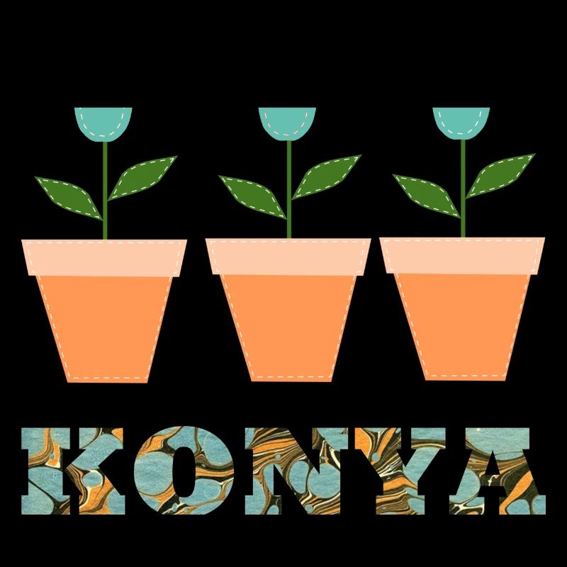 Konya E 204