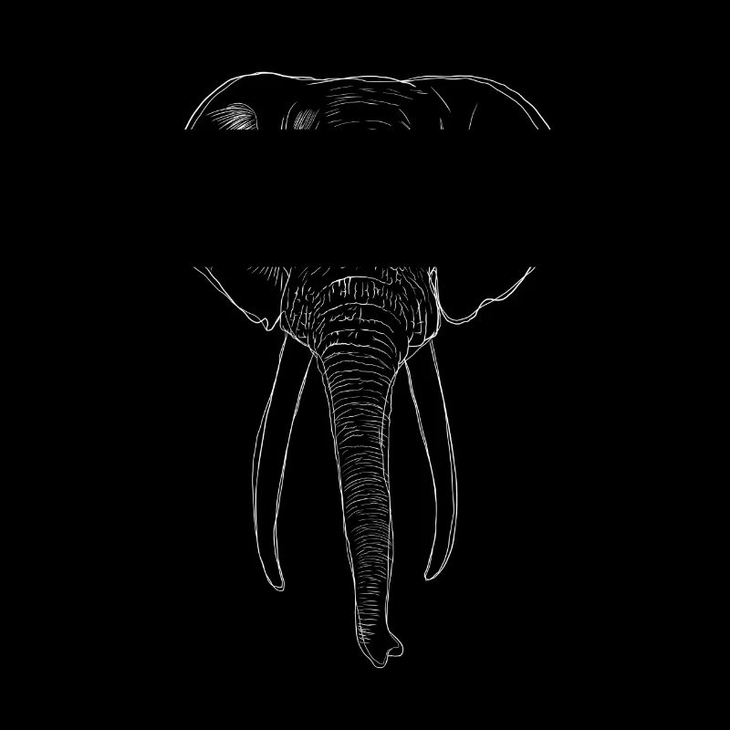 Elefant