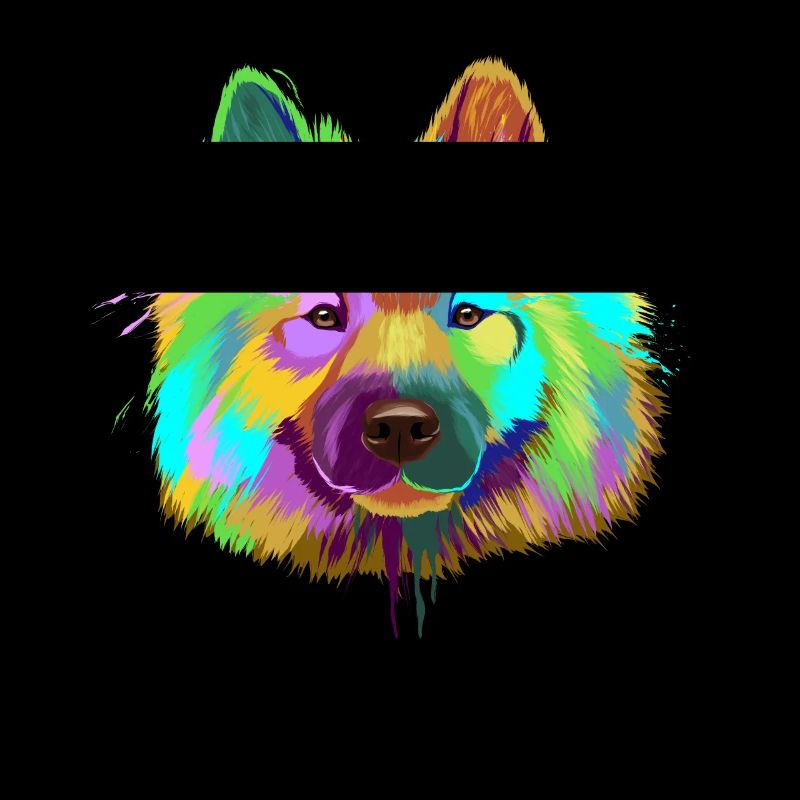 Splash Eurasier Hund