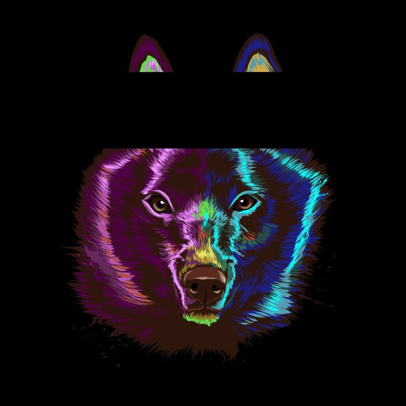 Splash Schipperke Dog