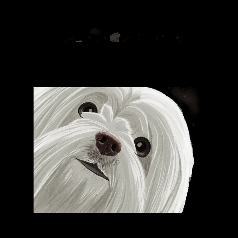 Curious Maltese Dog