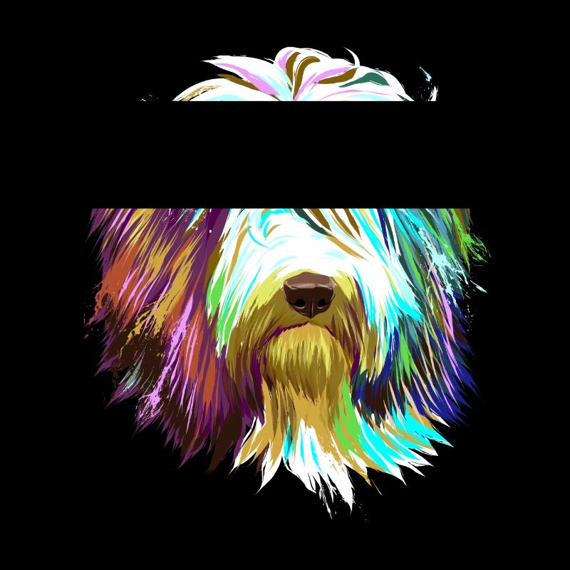 Splash Bearded Collie Dog