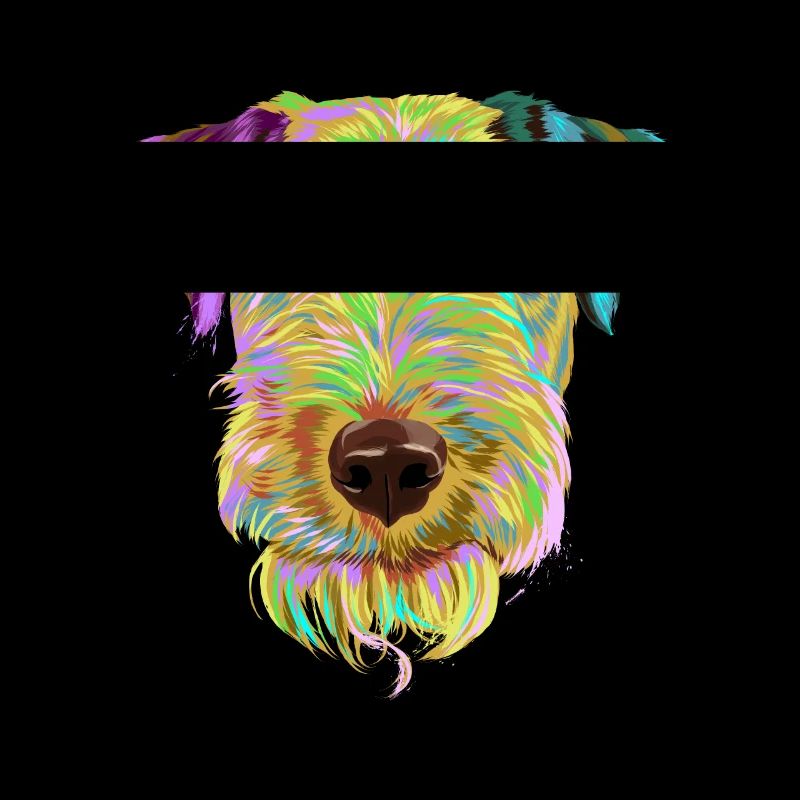 Splash Welsh Terrier chien