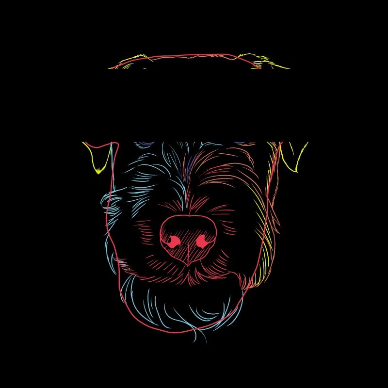 Strokes Welsh Terrier chien