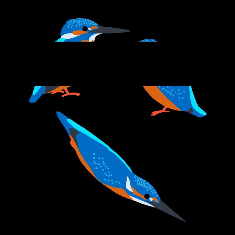 Vögel Eisvogel