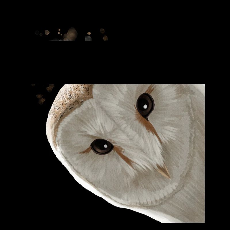 Funny Curious Owl
